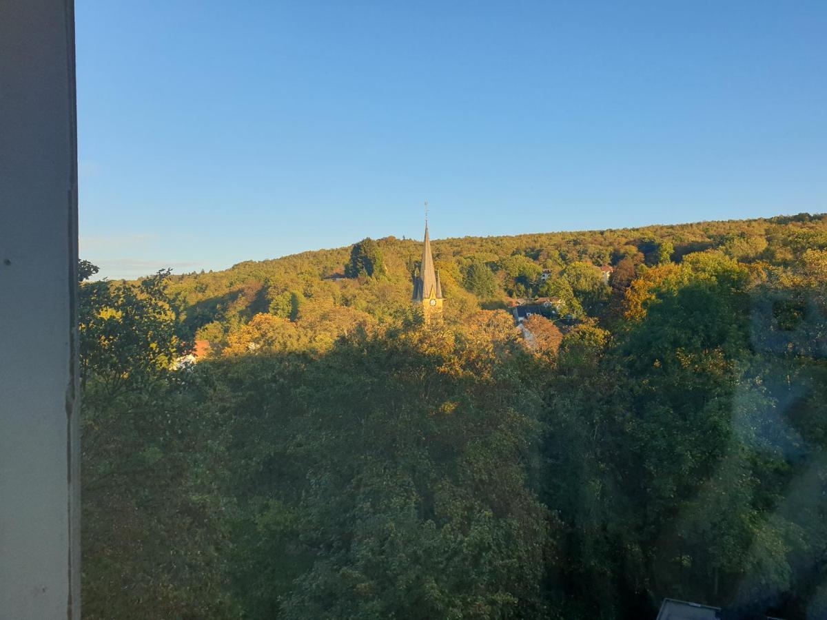 Grosse 130Qm Ferienwohnung Mit Whirlpool Sulzbach  Екстер'єр фото